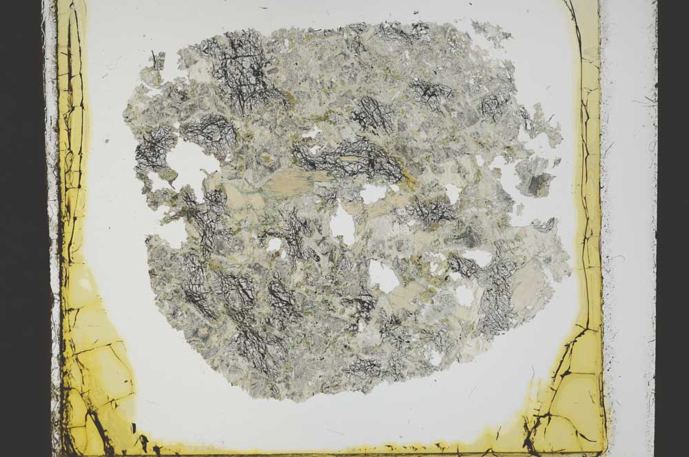 Plane Polarized, S40136/A