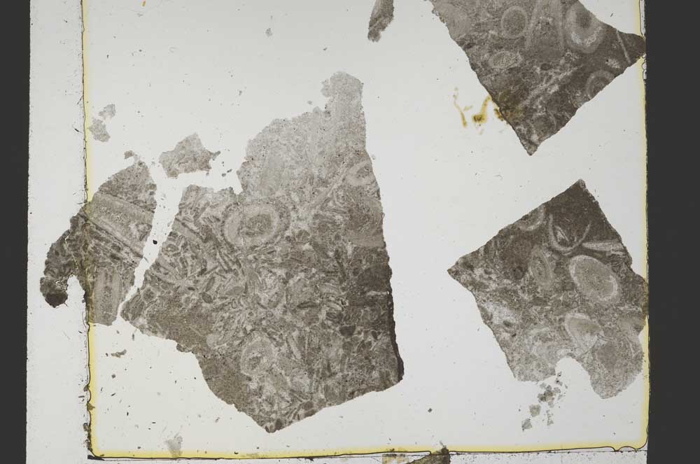 Plane Polarized, S40168