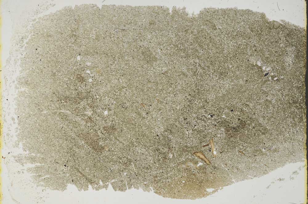 Plane Polarized, S40169