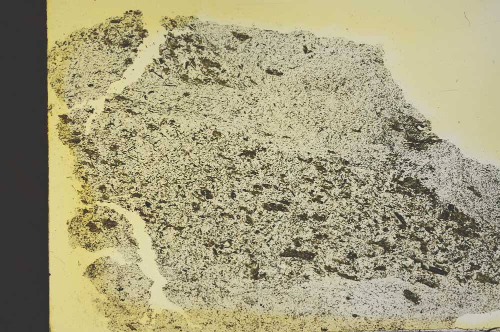 Plane Polarized, S40190