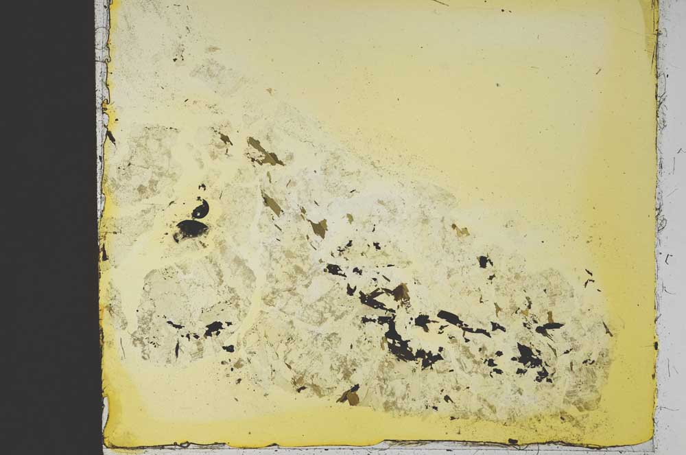 Plane Polarized, S40192