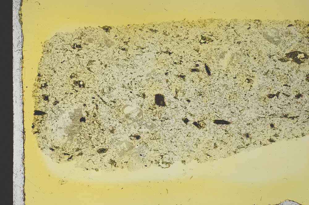 Plane Polarized, S40194