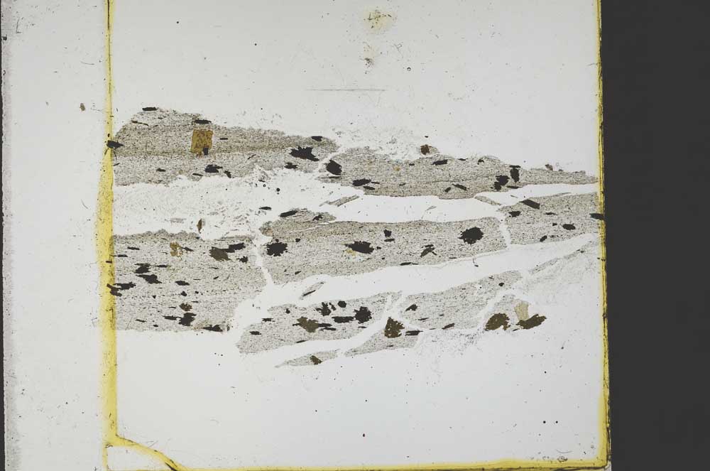 Plane Polarized, S40215