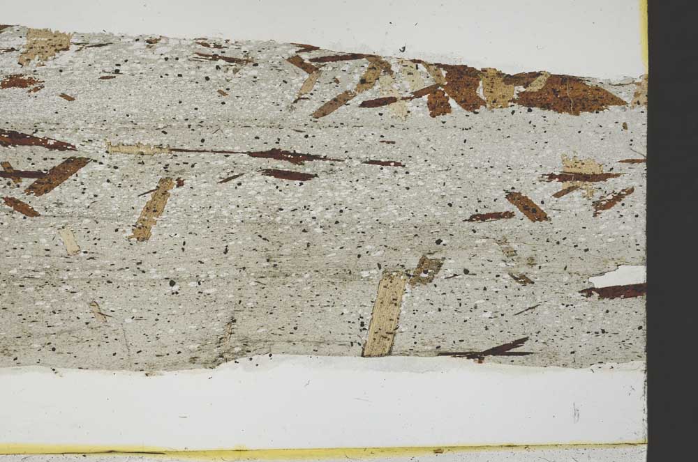 Plane Polarized, S40221