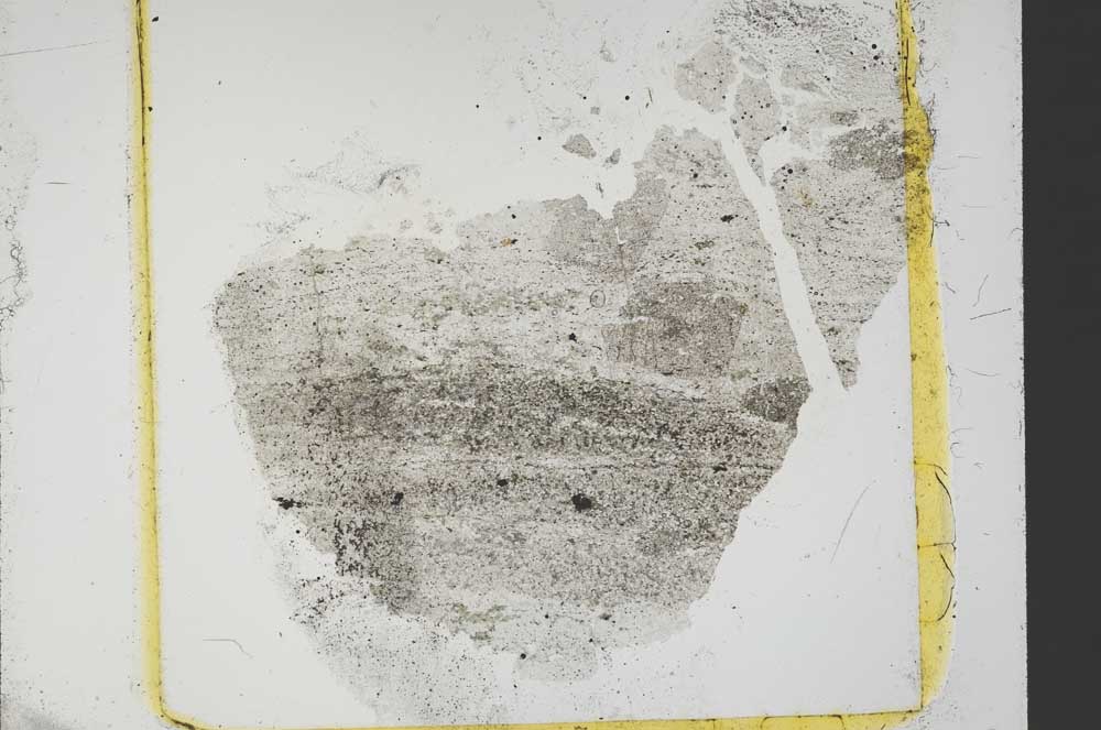 Plane Polarized, S40226