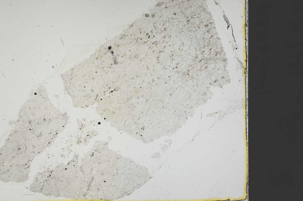 Plane Polarized, S40229