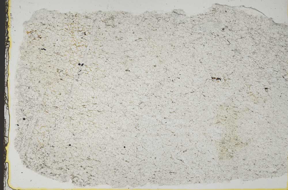 Plane Polarized, S40232