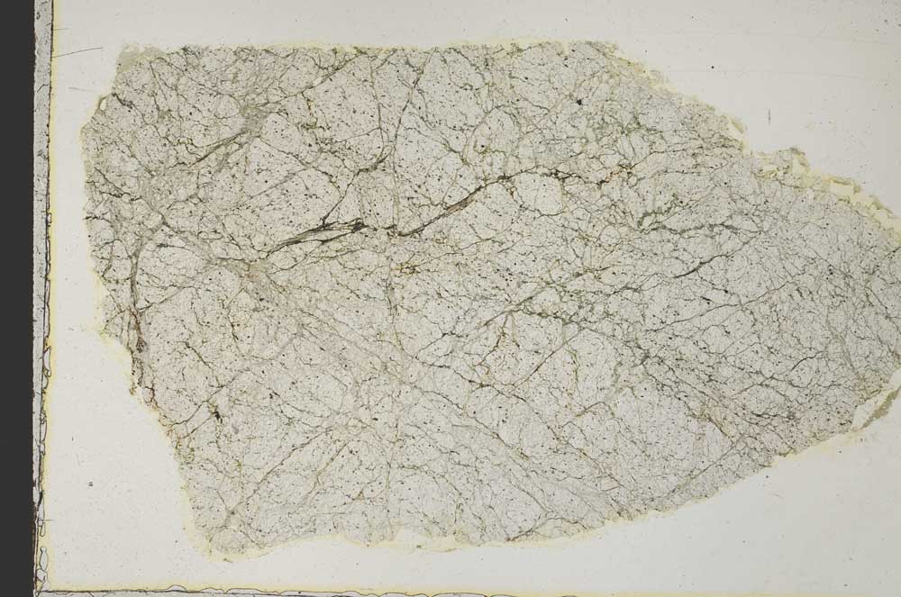Plane Polarized, S40261
