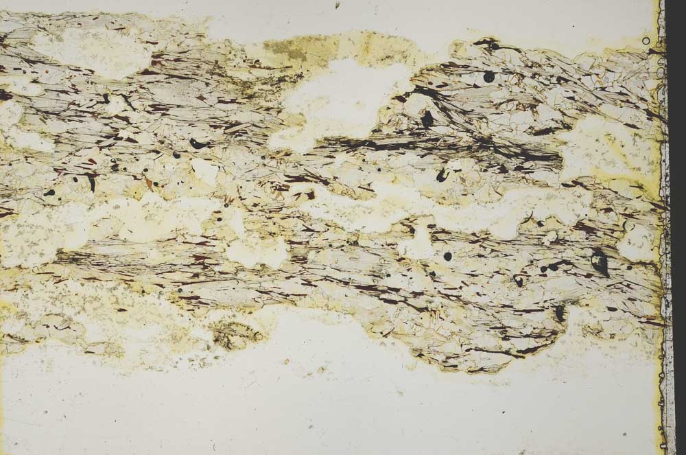 Plane Polarized, S40262