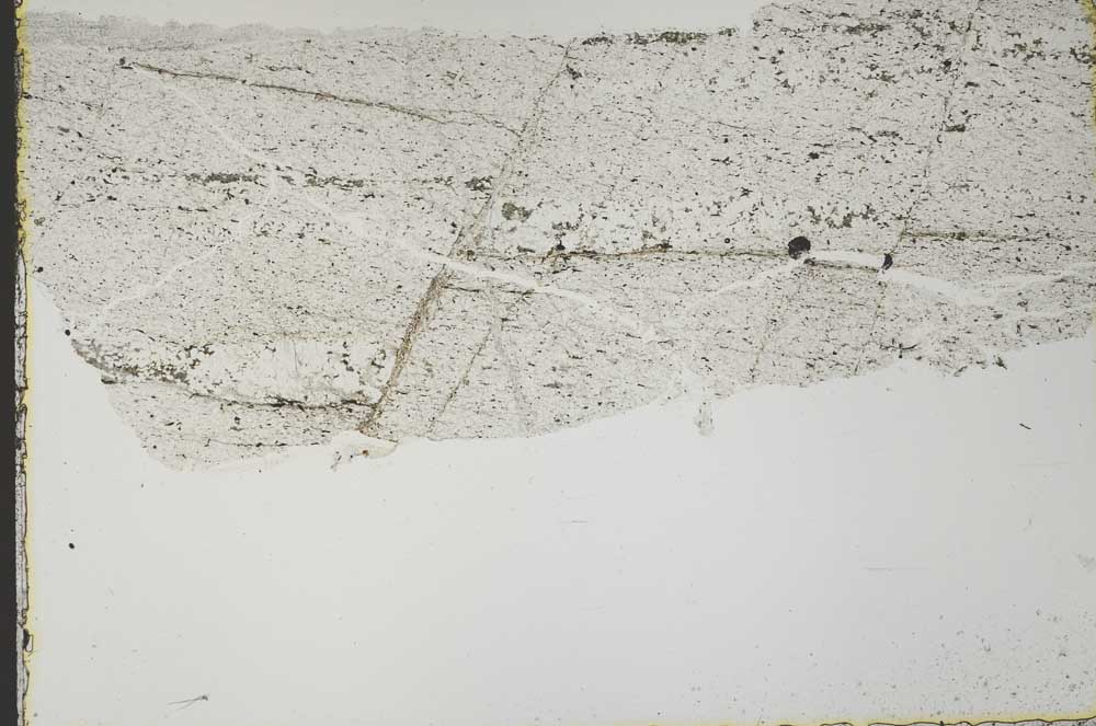 Plane Polarized, S40283