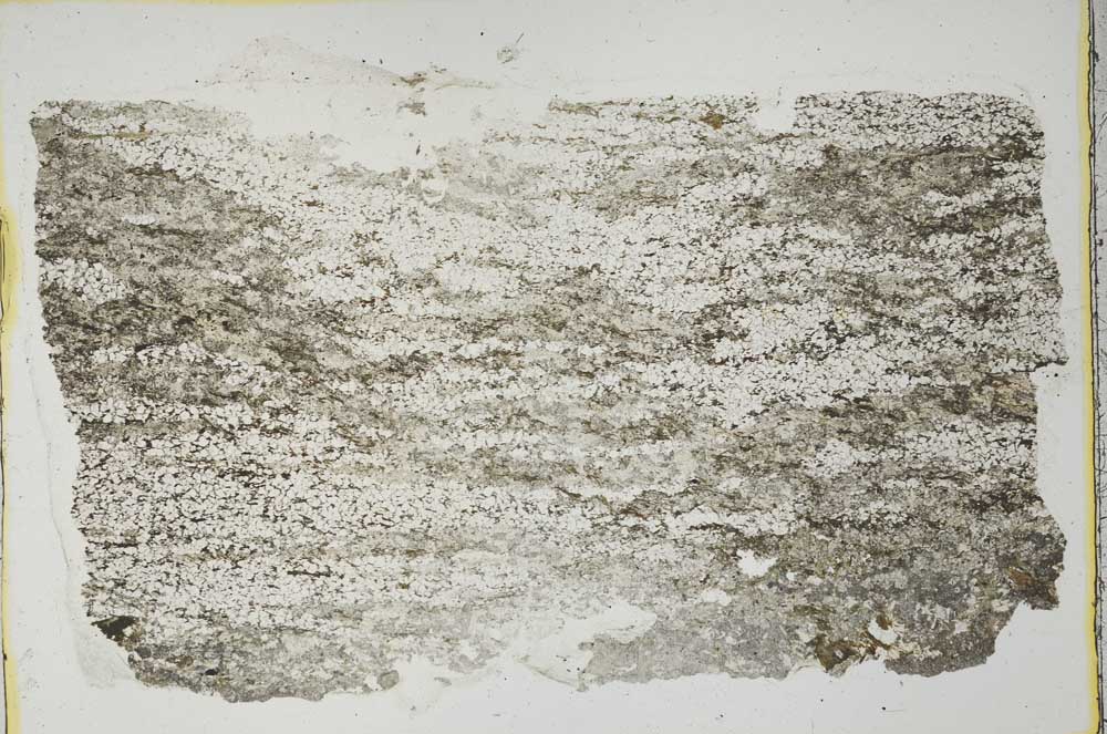 Plane Polarized, S40313