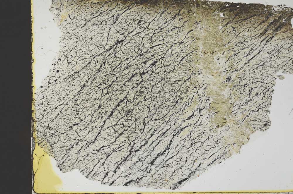 Plane Polarized, S40317