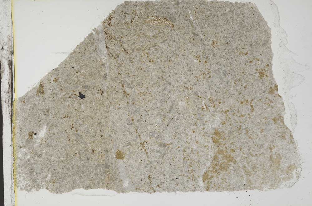 Plane Polarized, S40337