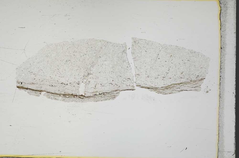 Plane Polarized, S40342