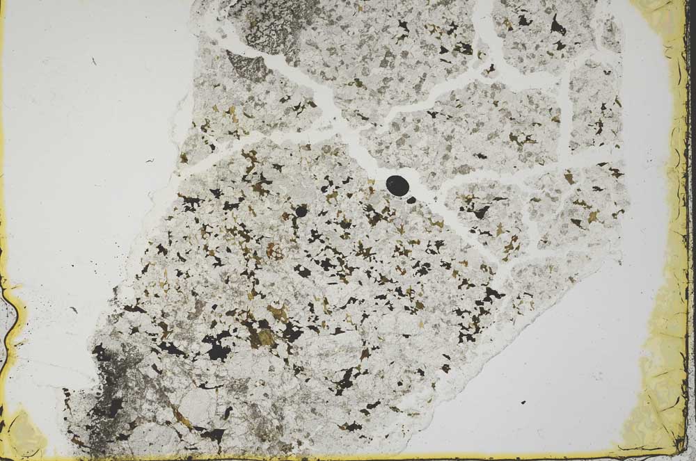 Plane Polarized, S40367