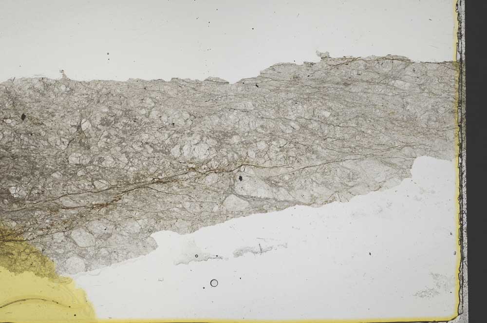 Plane Polarized, S40389