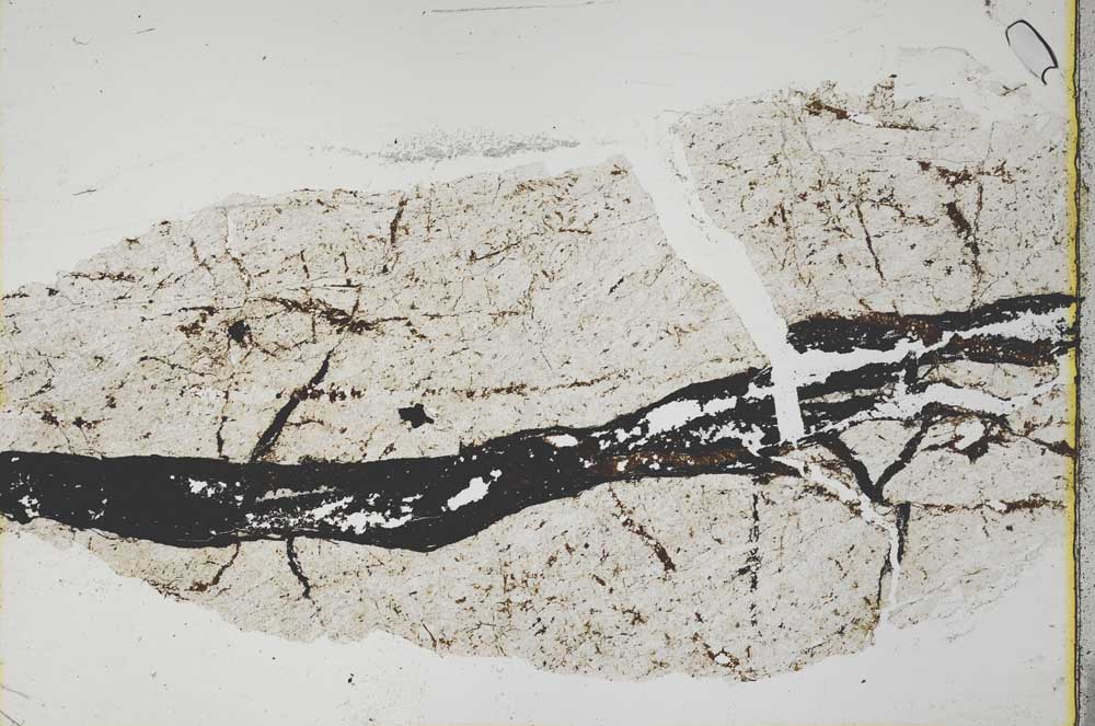 Plane Polarized, S40391
