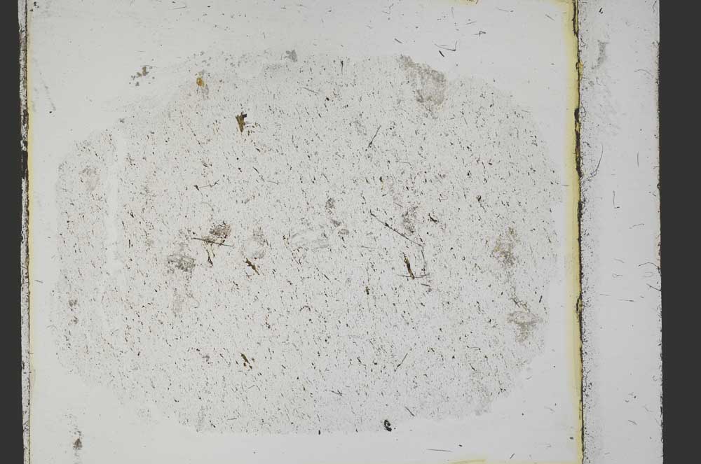 Plane Polarized, S40423/C