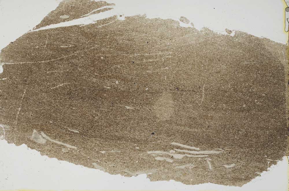 Plane Polarized, S40471