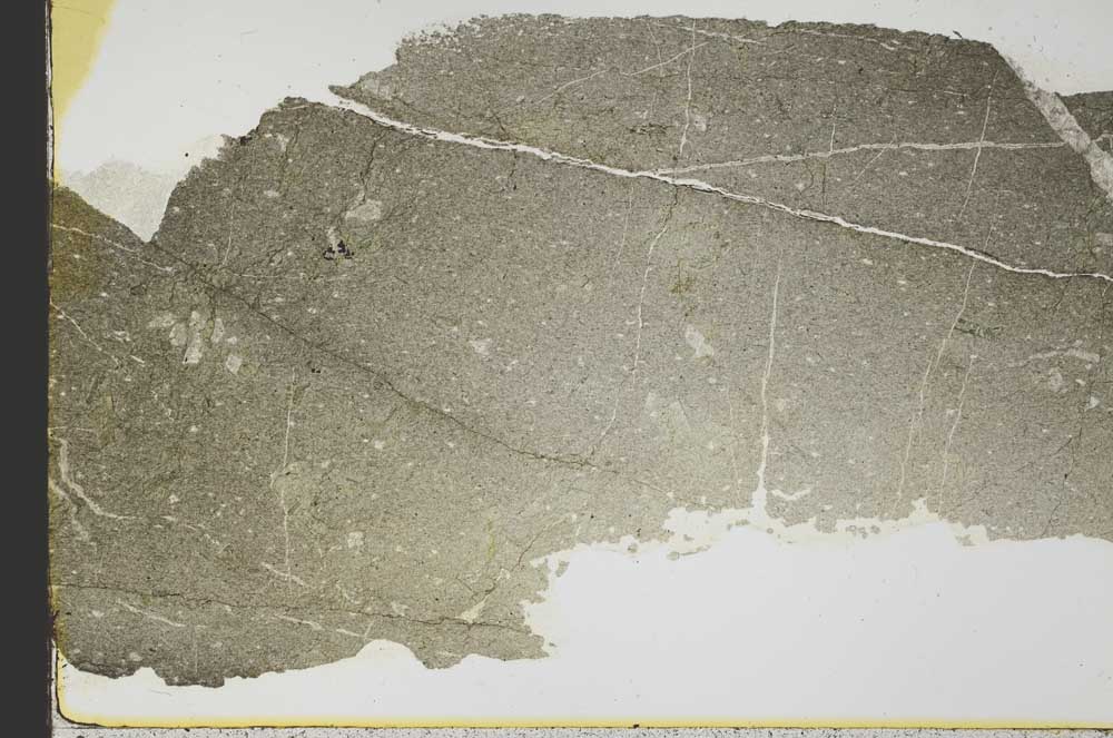 Plane Polarized, S40481