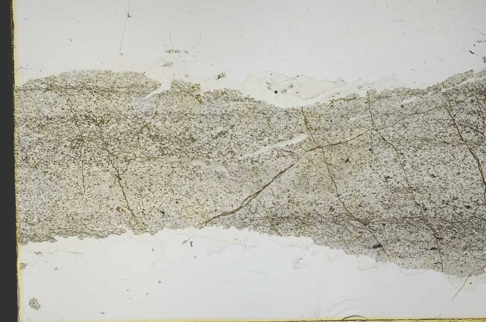 Plane Polarized, S40483