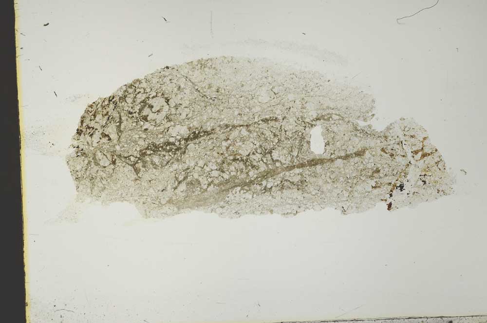 Plane Polarized, S40555