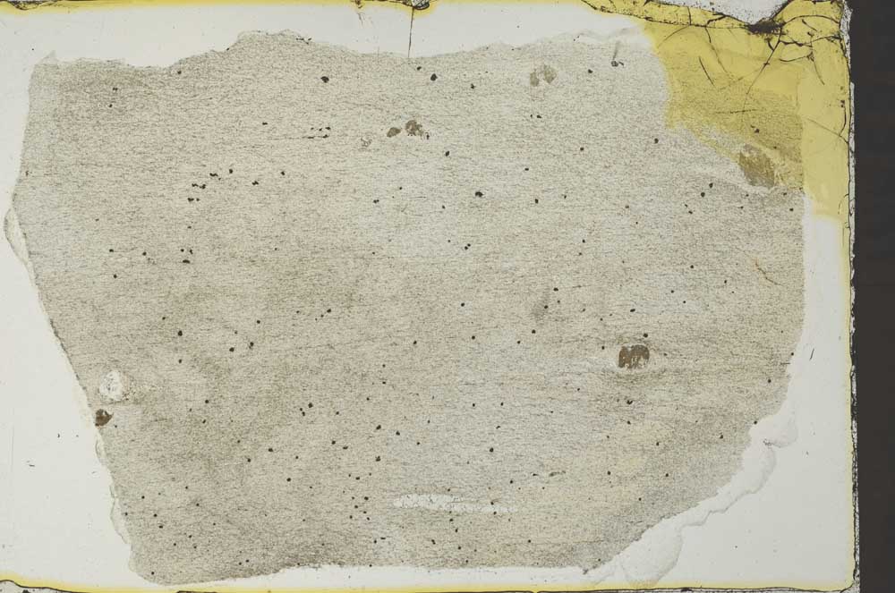 Plane Polarized, S40581