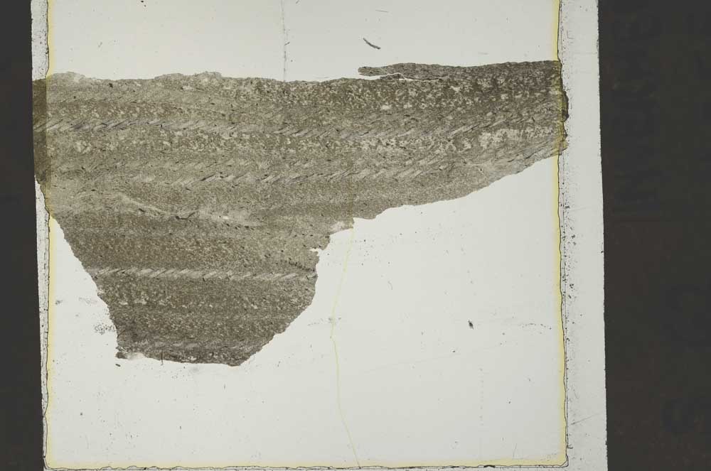 Plane Polarized, S40590