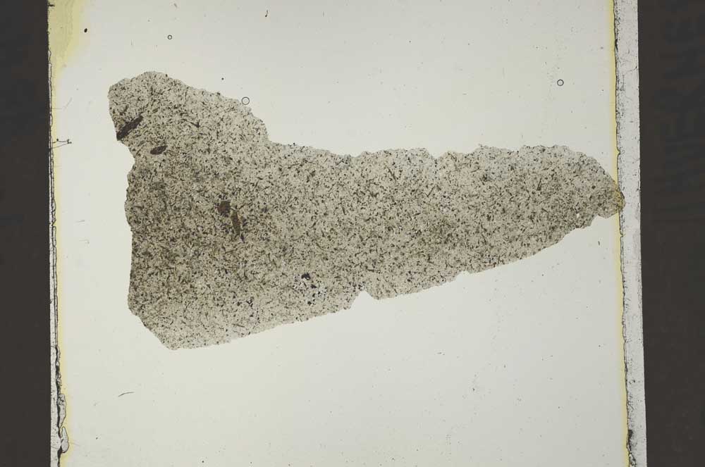 Plane Polarized, S40593
