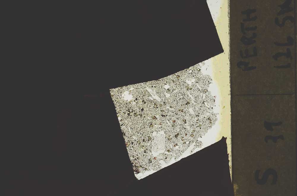 Plane Polarized, S40664