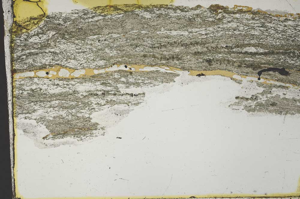 Plane Polarized, S40681