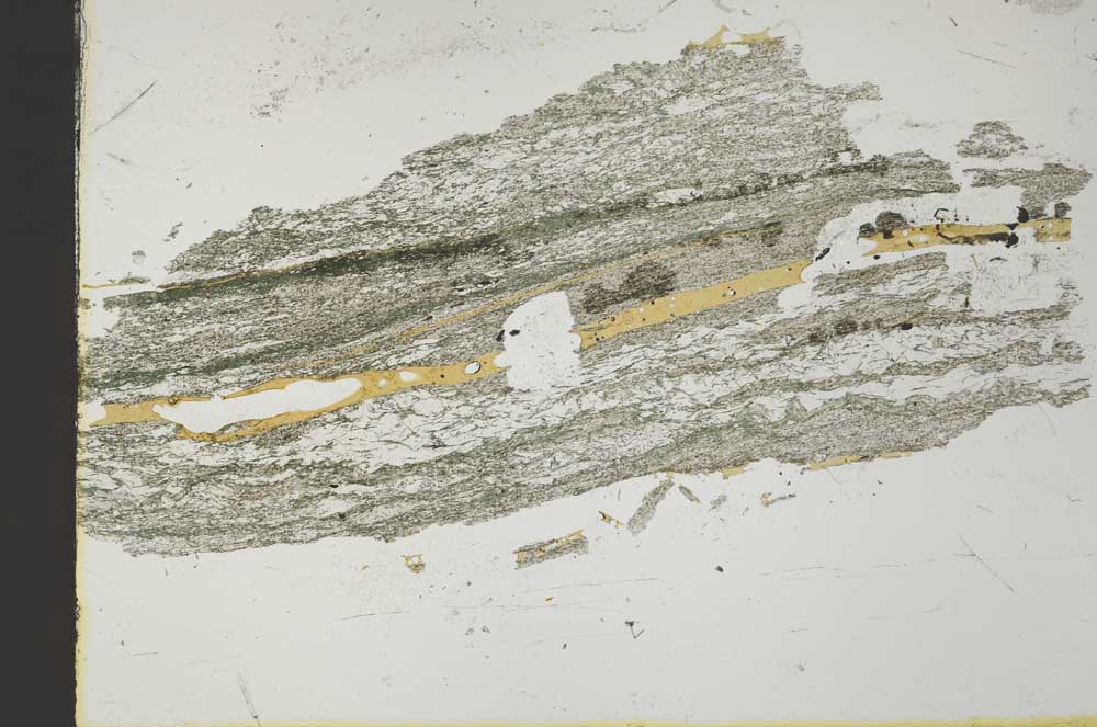 Plane Polarized, S40681/A