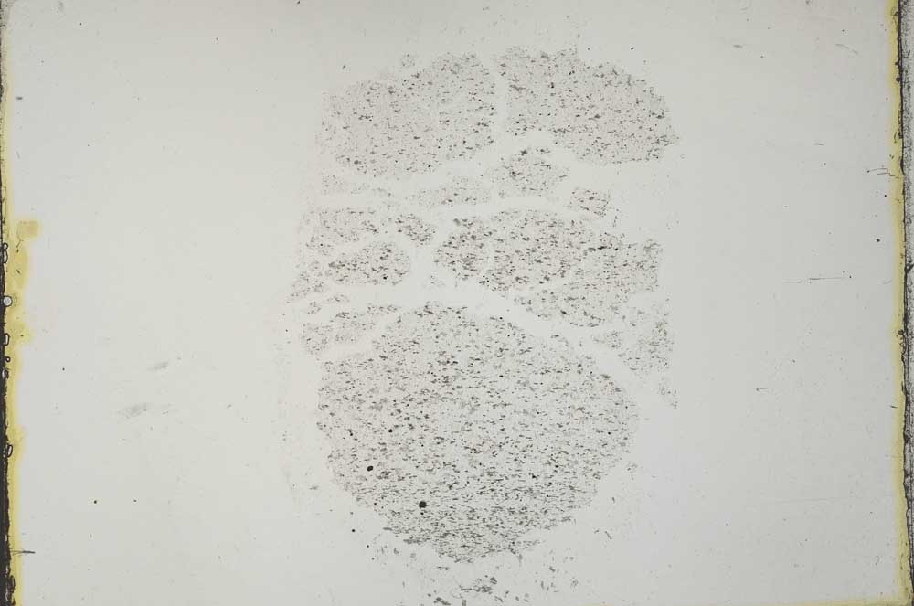 Plane Polarized, S40682