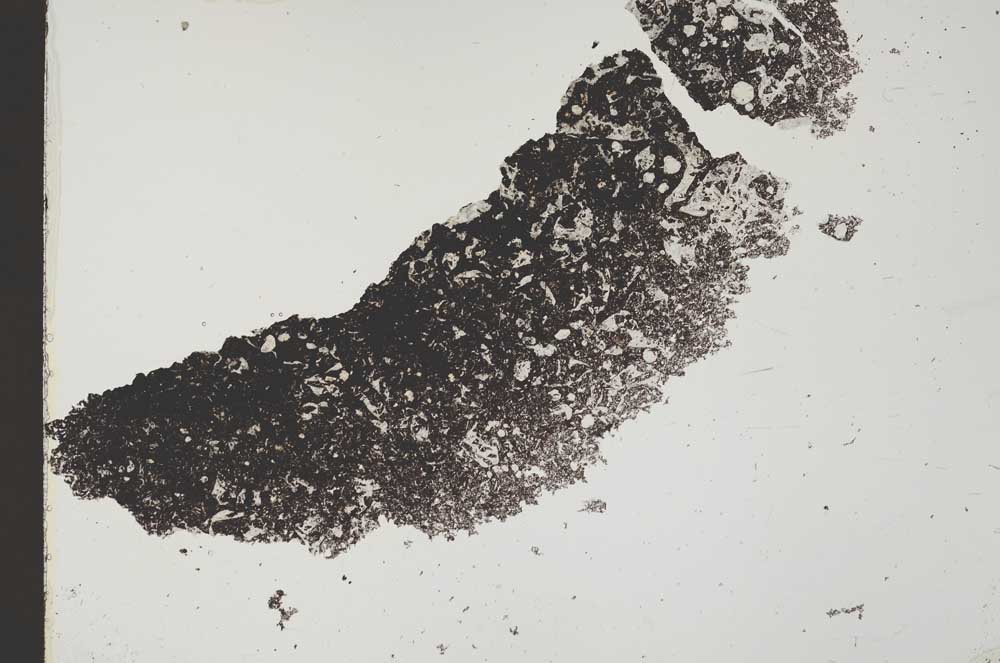 Plane Polarized, S40685