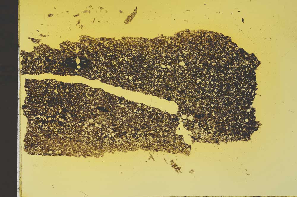 Plane Polarized, S40732