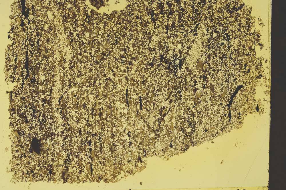 Plane Polarized, S40738