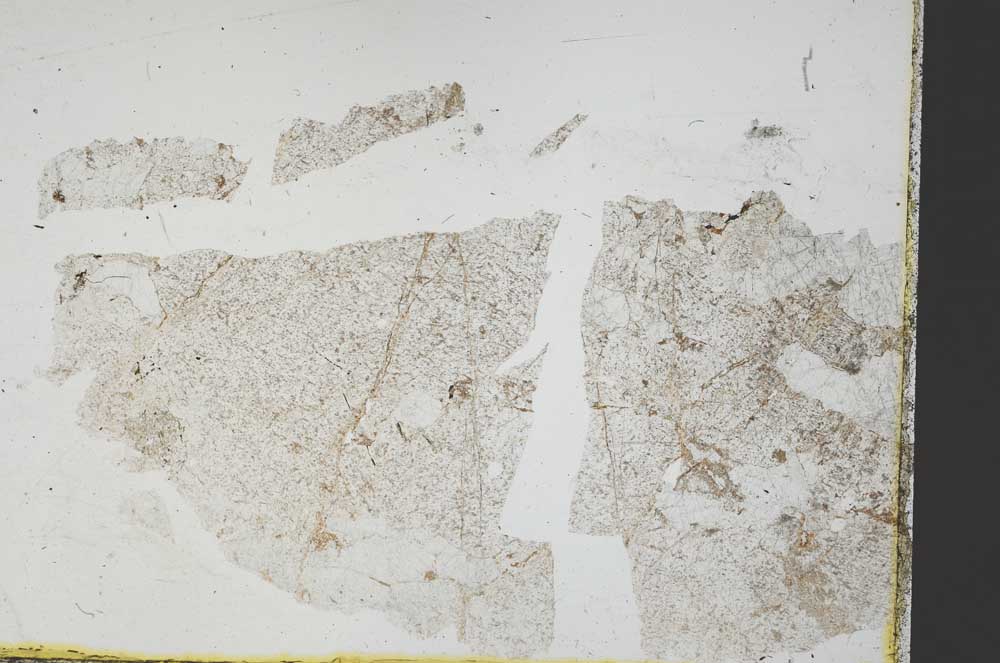 Plane Polarized, S40825