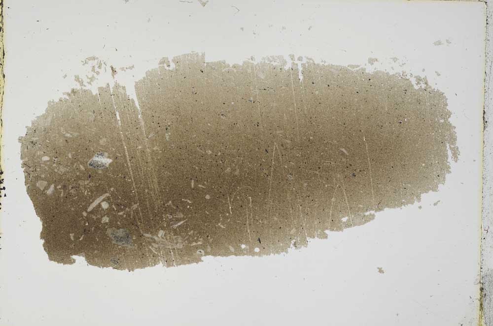 Plane Polarized, S40840