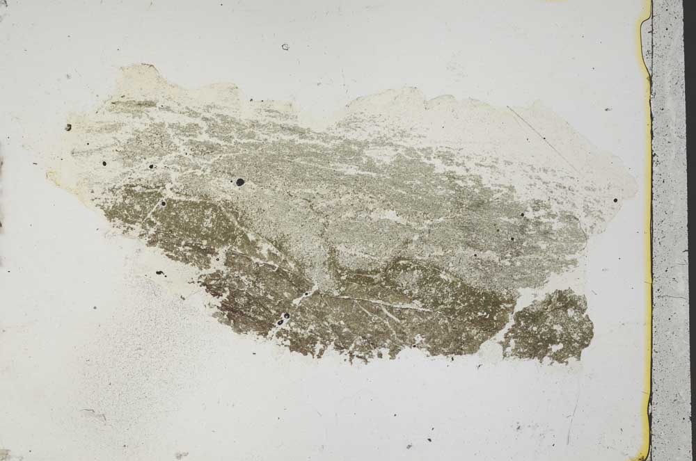 Plane Polarized, S40861