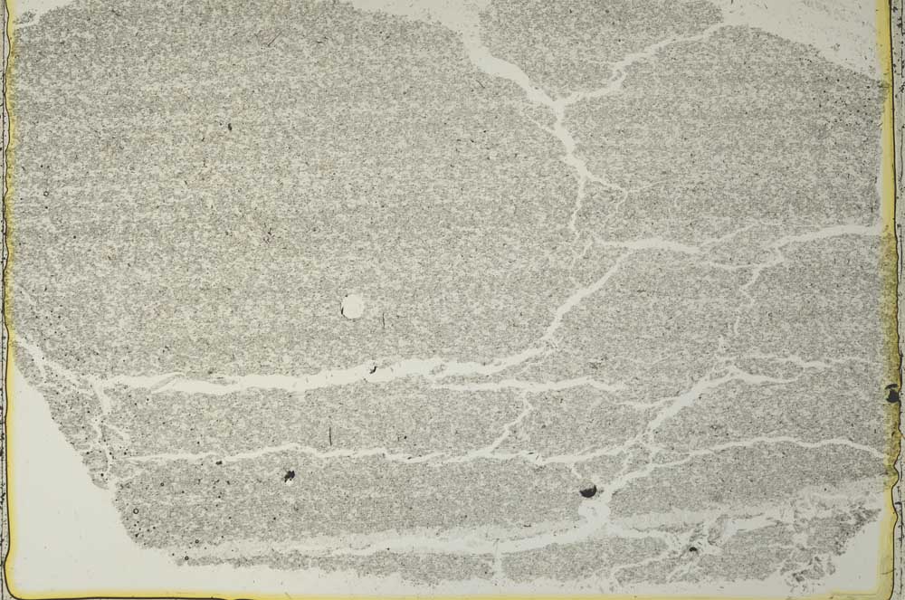 Plane Polarized, S40923