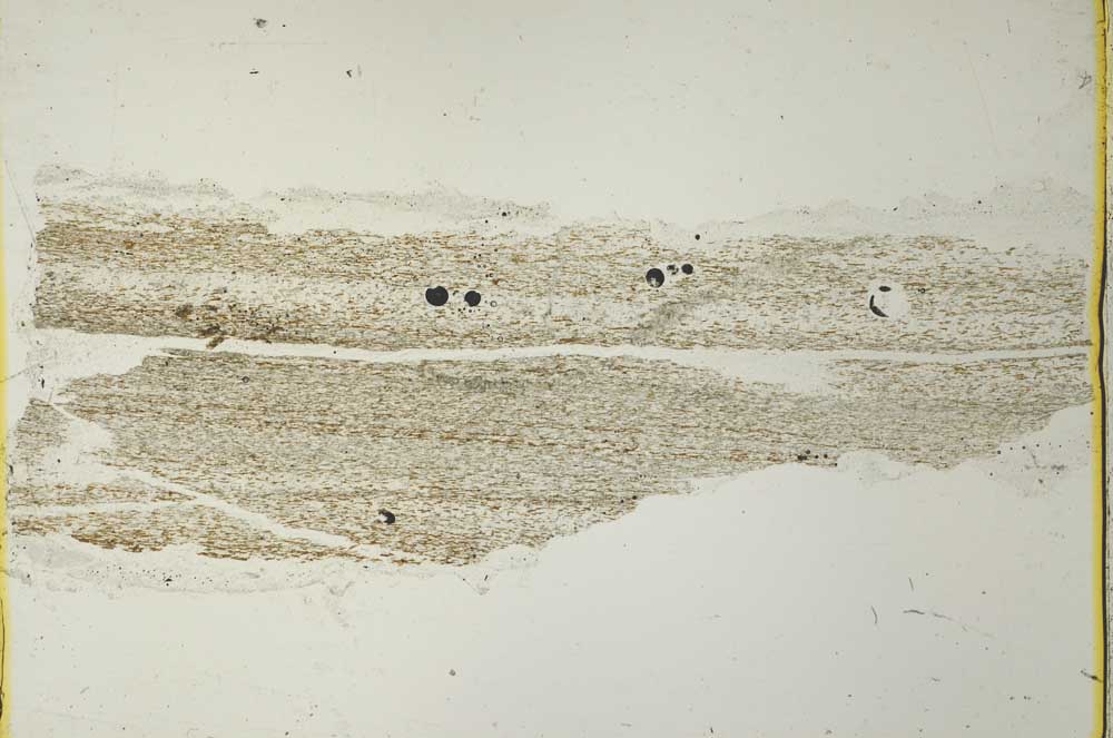 Plane Polarized, S40924