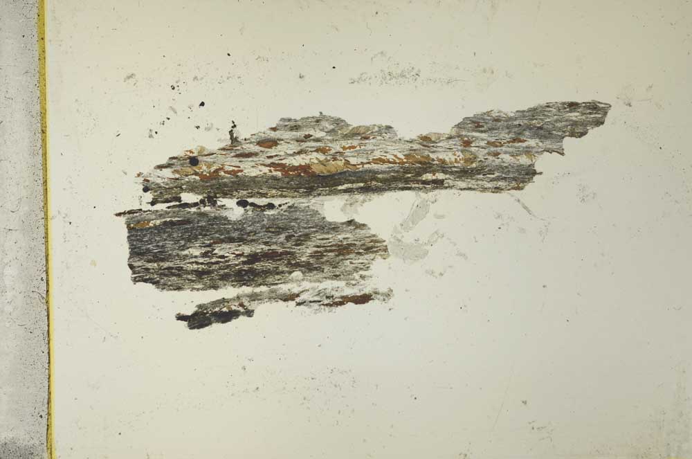 Plane Polarized, S40931/B