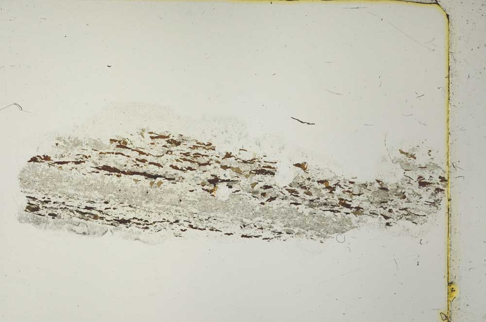 Plane Polarized, S40936