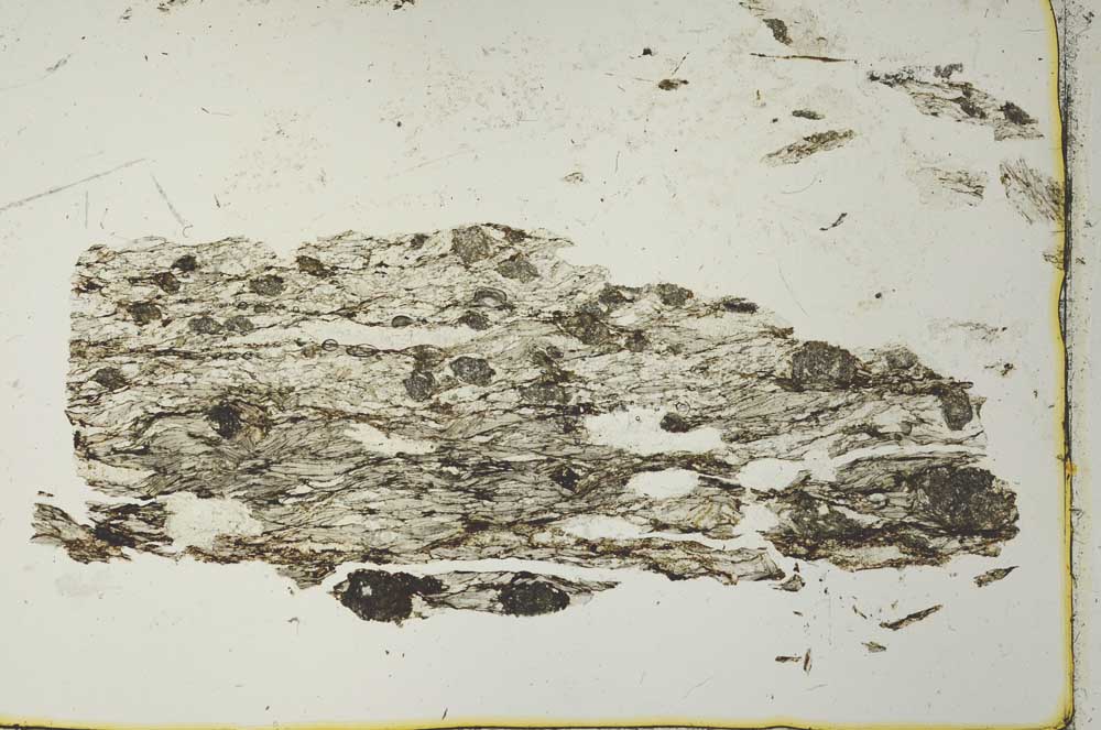 Plane Polarized, S40966
