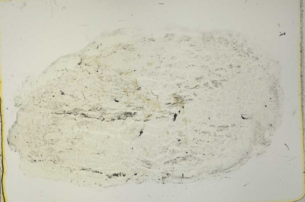 Plane Polarized, S40967