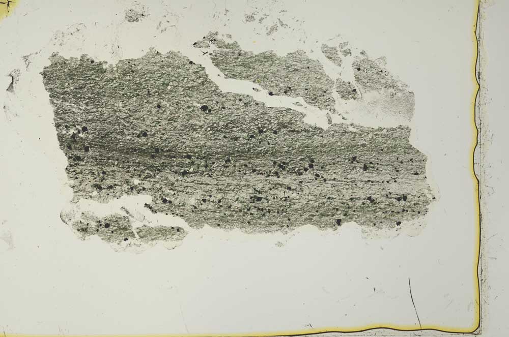 Plane Polarized, S40970