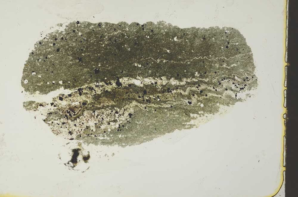 Plane Polarized, S40972