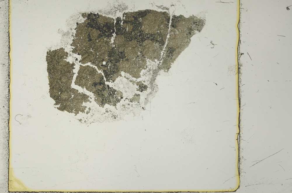 Plane Polarized, S40973