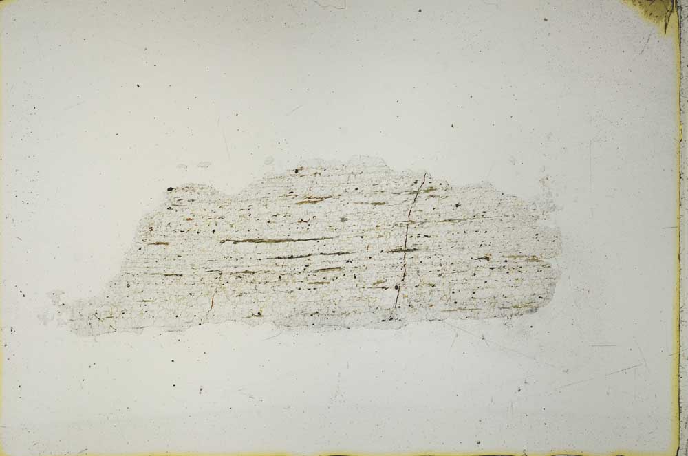 Plane Polarized, S40981