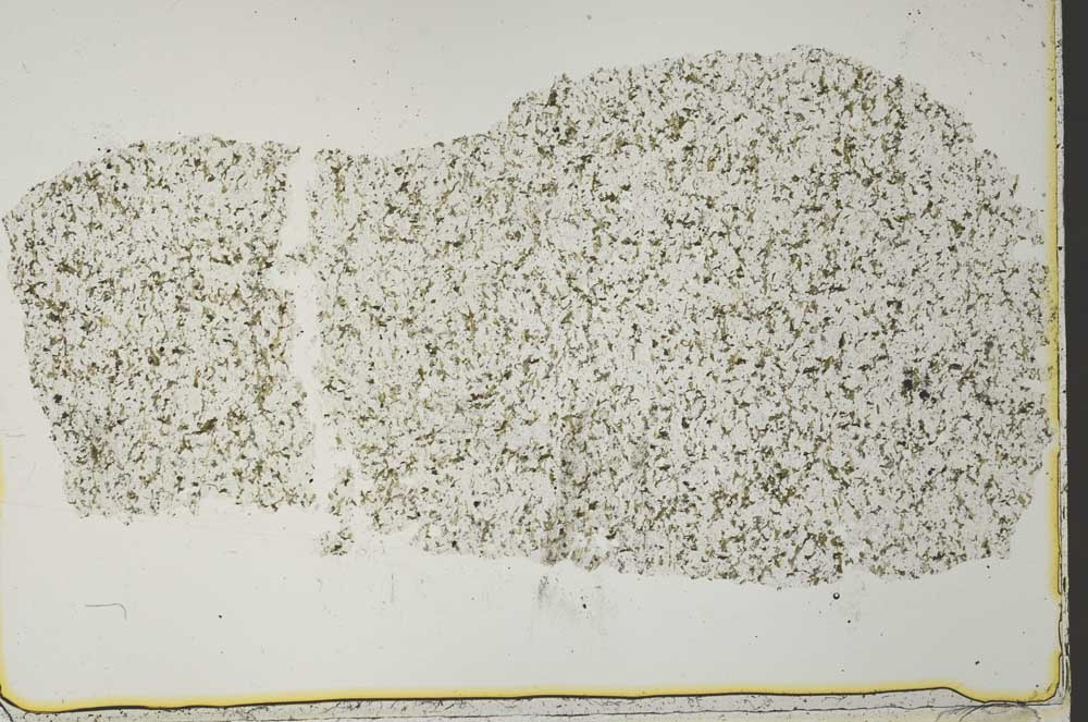 Plane Polarized, S40993